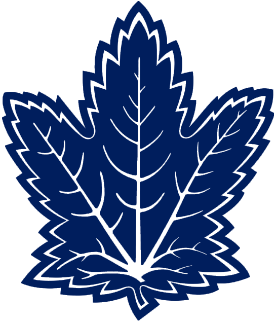 Toronto Maple Leafs 2000 01-2006 07 Alternate Logo 02 iron on paper